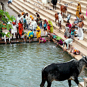 Palaces and Fortresses of Rajasthan, India Photo