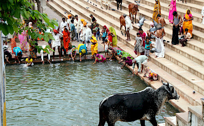 Bathing in Rajasthan, India. Photo via Flickr:Fulvio Spada