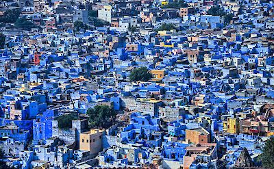 Blue city of Jodhpur from above. Unsplash@Abhinav Tripathi