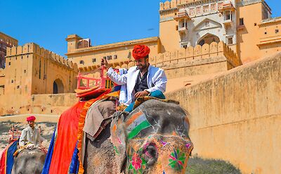 Painted elephants outside the Amber Fort, Jaipur. Unsplash@Naman Pandey