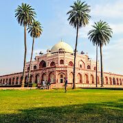 The Palace Trail - Cycling Rajasthan - Palm trees at Humayun’s tomb, Delhi. Unsplash@Junaid Ahmad Ansari
