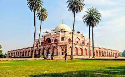 Palm trees at Humayun&rsquo;s tomb, Delhi. Unsplash@Junaid Ahmad Ansari