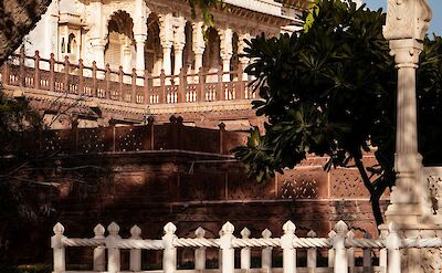 View of a palace through trees and flowers, Jodhpur. Unsplash@Yezir