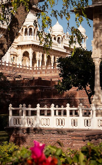 View of a palace through trees and flowers, Jodhpur. Unsplash@Yezir