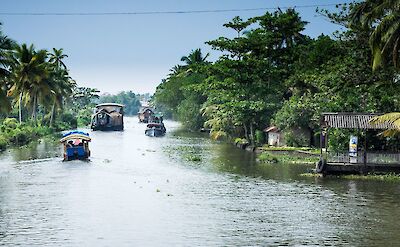 Alleppey Backwaters in Kerala, India. Flickr:Dumphasizer