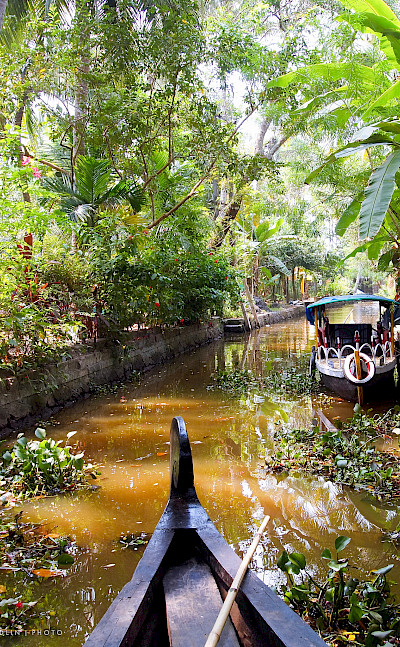 Backwaters Canal in Kerala, India. Flickr:Julia Maudlin