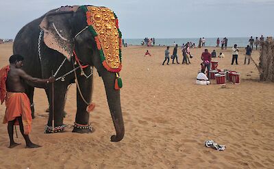 Elephant on beach in Kerala, India. Flickr:Thejas Panarkandy