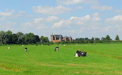 Muiderslot sits among pastures in Muiden, North Holland, the Netherlands. Photo via Flickr:martin_vmorris