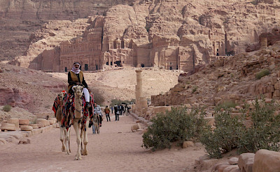 Camels in Petra, Jordan. Flickr:krebsmaus07