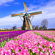 Amsterdam to Paris Photo