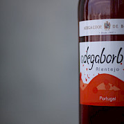 Portugal’s Vicentine Coast and Algarve Photo
