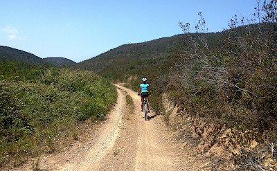 Scenic biking along the Vicentine Coast & Algarve Bike Tour in Portugal.