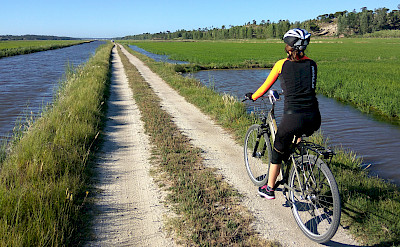 Quiet bike paths on the Vicentine Coast & Algarve Bike Tour in Portugal.