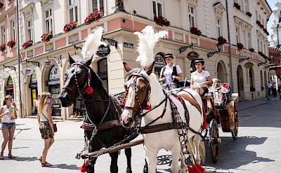 Horse-drawn carriage rides in Old Town, Krakow, Poland. Flickr:Davis Staedtler