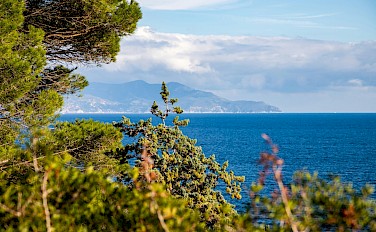 Guided Tuscan Coast & Islands