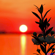 Guided Tuscan Coast and Islands Photo