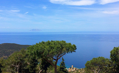 View of Campese Montecristo Island on the Tuscan Coast, Italy. Photo via TO