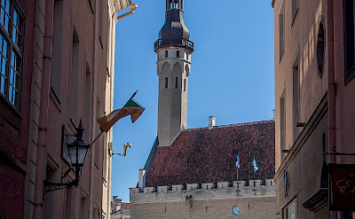Town Hall and marketplace in Tallinn, Estonia. Flickr:Mike Beales