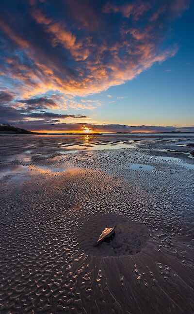 Carrick Shore, Scotland. Flickr:Alistair Hamilton