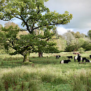 South West Scotland Photo