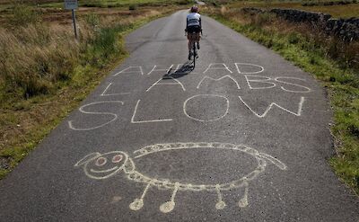 Road drawings near Newton Stewart, Scotland. CC:Galloway Cycling Holidays