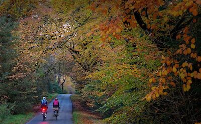 Cycling through a forest near Gatehouse, Scotland. CC:Galloway Cycling Holidays