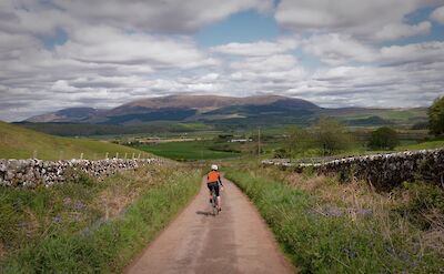 Near Newton Stewart, Scotland. CC:Galloway Cycling Holidays