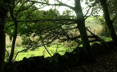 Knockbrex, Scotland. Flickr:Swithun Crowe