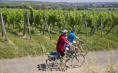 Biking the Mainz to Strasbourg Bike & Boat Tour. ©TO
