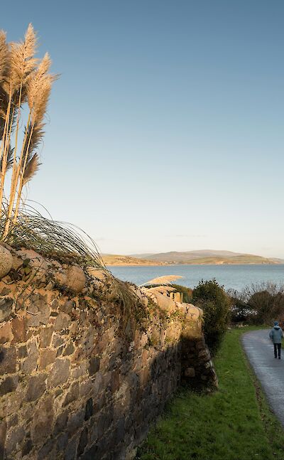 Walking down a path to Balcary Bay, Scotland. Flickr:James Johnstone