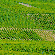 Geneva to Lyon Photo