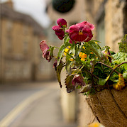 Shakespeare Country and the Cotswolds Photo