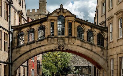 Tree viewed through the Bridge of Sighs, Oxford, England. Unsplash:Ray Harrington