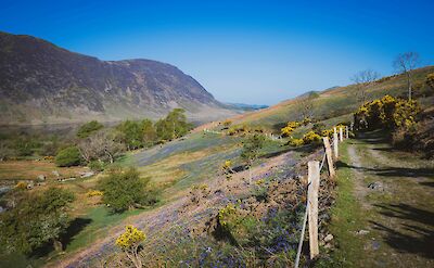 Footpath in Buttermere, Cockermouth, Lake District, England. Unsplash:Jonny Gios