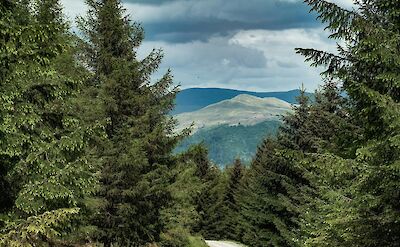 Hiking along a road near Lake Windermere, Lake District, England. Unsplash:Ainsley Myles