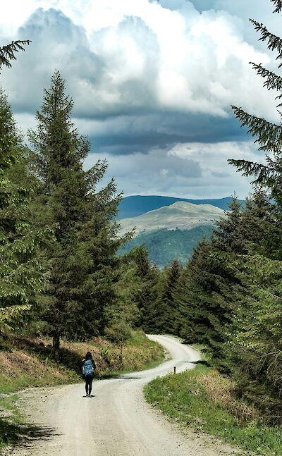 Hiking along a road near Lake Windermere, Lake District, England. Unsplash:Ainsley Myles