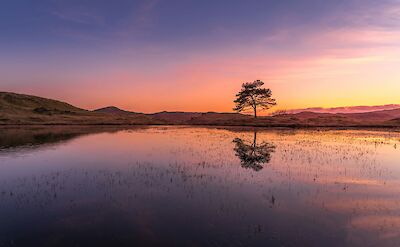 Sunset at Coniston Lake, Lake District, England. Unsplash:Jonny Gios