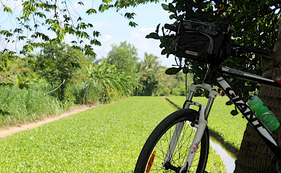 Bike rest in the Mekong Delta in Cambodia.