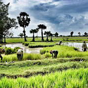 Siem Reap to Saigon Photo