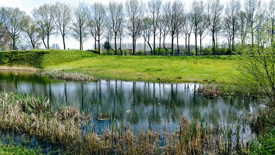 Pond on the way to Damme.