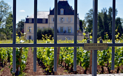 The Meursault white wine growing region in Burgundy. Flickr:Jon Oropeza