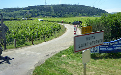 Côte de Nuits wine-producing area of Burgundy. Flickr:Elliott Brown