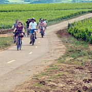 Burgundy guided bike tour Photo