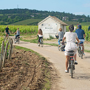 Borgonha de Bicicleta - Passeio Guiado Foto