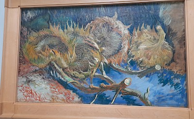 Van Gogh paintings at the Kroller-Muller Museum. ©Dianne Wilkinson