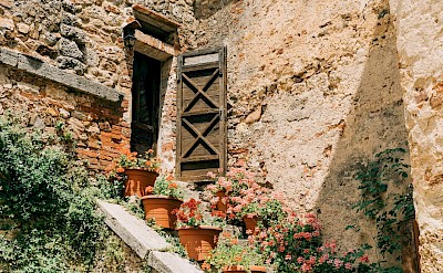 Flowers on steps in Tuscany, Italy. Unsplash@Gabriella Clare Marino