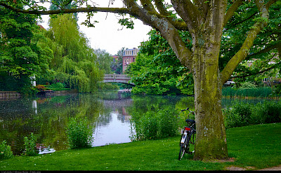 Bike rest in Vondelpark in Amsterdam, North Holland, the Netherlands. Flickr:Moyan Brenn