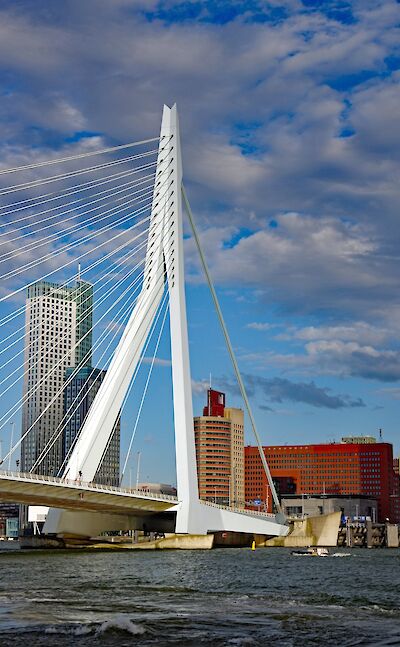 Rotterdam, the Netherlands. ©TO