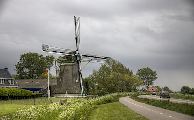Biking past windmills in Zeeland, the Netherlands. Flickr:arcadius