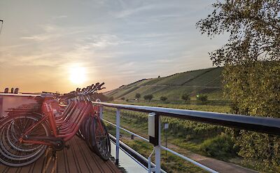 Bikes on deck | Olympia | Bike & Boat Tour